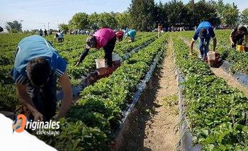 La guadaña de Sturzenegger en el INTA superaría las 1100 personas | Inta