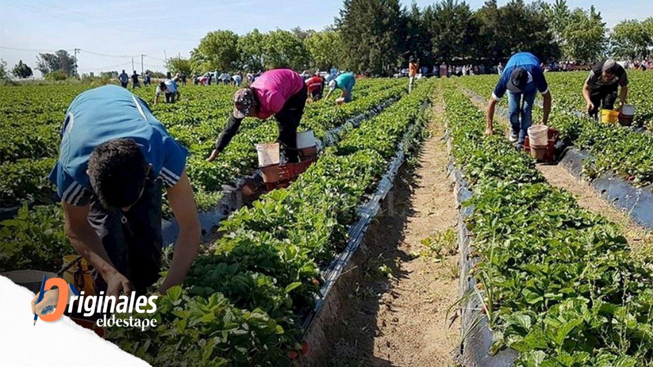 La guadaña de Sturzenegger en el INTA superaría las 1100 personas