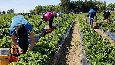 Agricultura Familiar en Marcha: PBA lanzó la cuarto edición que otorga financiamiento y asistencia técnica Agricultura Familiar en Marcha: PBA lanzó la cuarto edición que otorga financiamiento y asistencia técnica