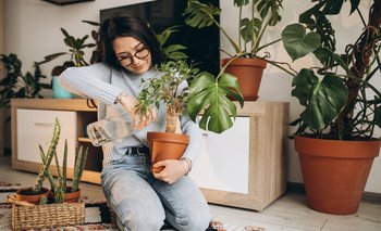 Qué significa que los solteros tengan muchas plantas en su casa, según la IA | Inteligencia artificial
