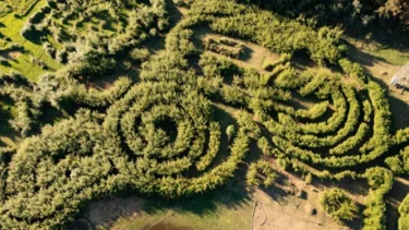 Escapada: el pueblo que ofrece una experiencia distinta con su laberinto de bambú 