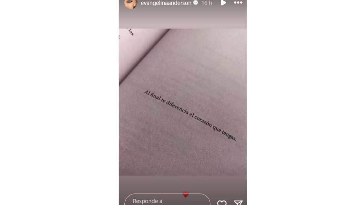 La historia que compartió Evangelina Anderson en Instagram. 