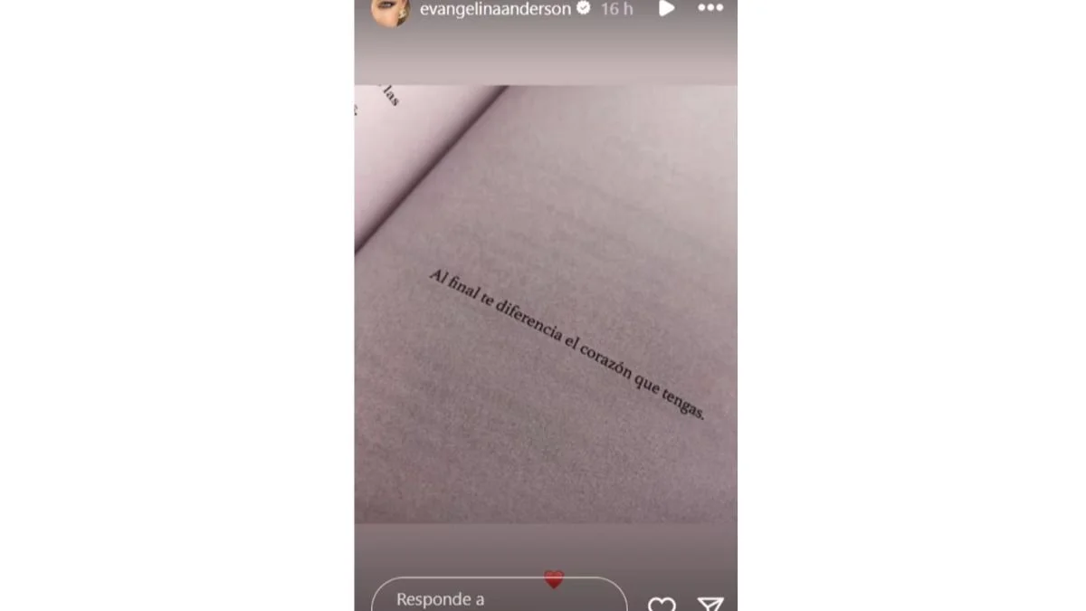 La historia que compartió Evangelina Anderson en Instagram. 
