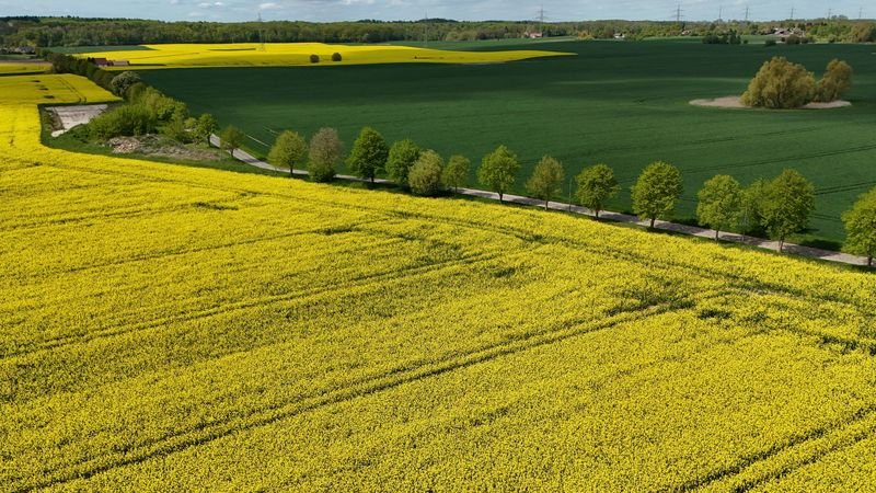 Alemania podrá cumplir el objetivo climático de 2030, pero peligran los posteriores, según asesores