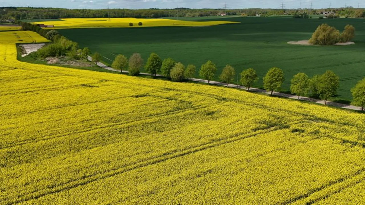 Alemania podrá cumplir el objetivo climático de 2030, pero peligran los posteriores, según asesores
