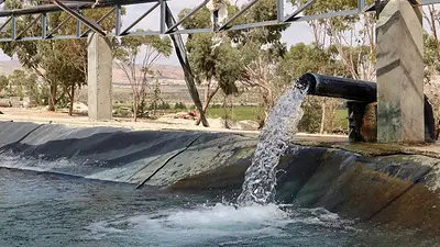 La UE planea nuevas subvenciones a los agricultores para ahorrar agua: borrador La UE planea nuevas subvenciones a los agricultores para ahorrar agua: borrador