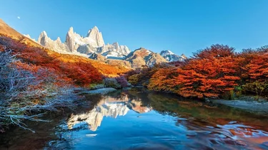 Los secretos de la Patagonia que no muchos conocen: glaciares eternos, árboles milenarios y dinosaurios gigantes