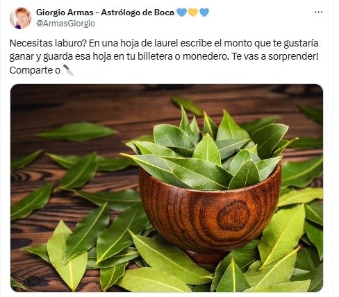 laurel, ritual, abundancia, hojas de laurel