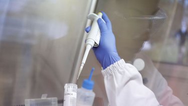 Brasil confirma el primer brote de gripe aviar en una granja comercial