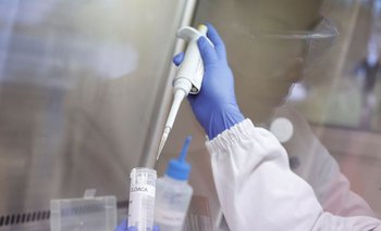 Brasil confirma el primer brote de gripe aviar en una granja comercial | Gripe