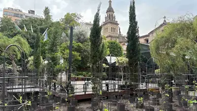 El primer viñedo urbano de Latinoamérica, en Buenos Aires El primer viñedo urbano de Latinoamérica, en Buenos Aires