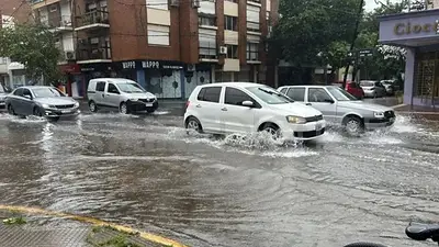 Santa Fe y Rosario sufrieron el fuerte temporal: árboles caídos, techos volados y postes rotos Santa Fe y Rosario sufrieron el fuerte temporal: árboles caídos, techos volados y postes rotos
