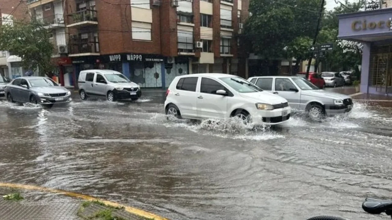 Santa Fe y Rosario sufrieron el fuerte temporal: árboles caídos, techos volados y postes rotos