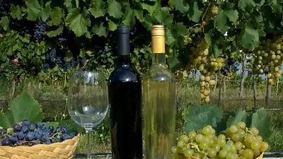 Efecto Milei en la exportación de vino: La Rioja registró una caída del 69,4% interanual Efecto Milei en la exportación de vino: La Rioja registró una caída del 69,4% interanual