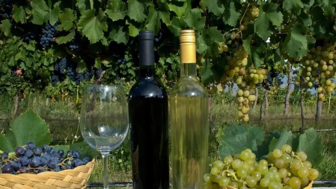 Efecto Milei en la exportación de vino: La Rioja registró una caída del 69,4% interanual