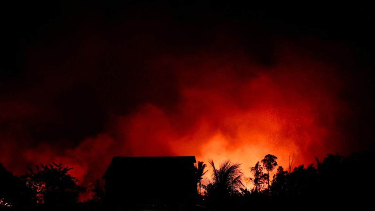 Los incendios del Amazonas causan una pérdida de bosques récord en el mundo en 2024, según informe