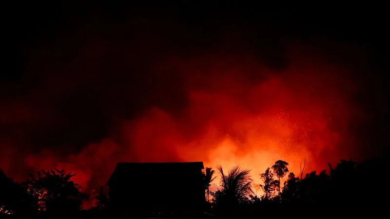 Los incendios del Amazonas causan una pérdida de bosques récord en el mundo en 2024, según informe