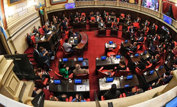 Las reelecciones indefinidas: lo que se viene el Senado bonaerense | Provincia de buenos aires