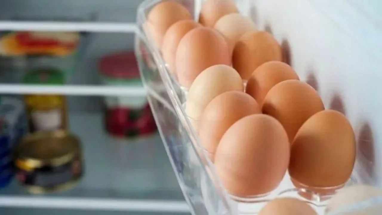 huevos, cocina, comida, heladera, electrodomésticos