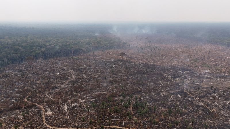 La UE califica sólo a cuatro países de "alto riesgo" en virtud de legislación sobre deforestación