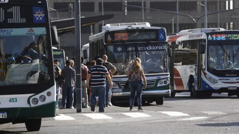 Colectivos