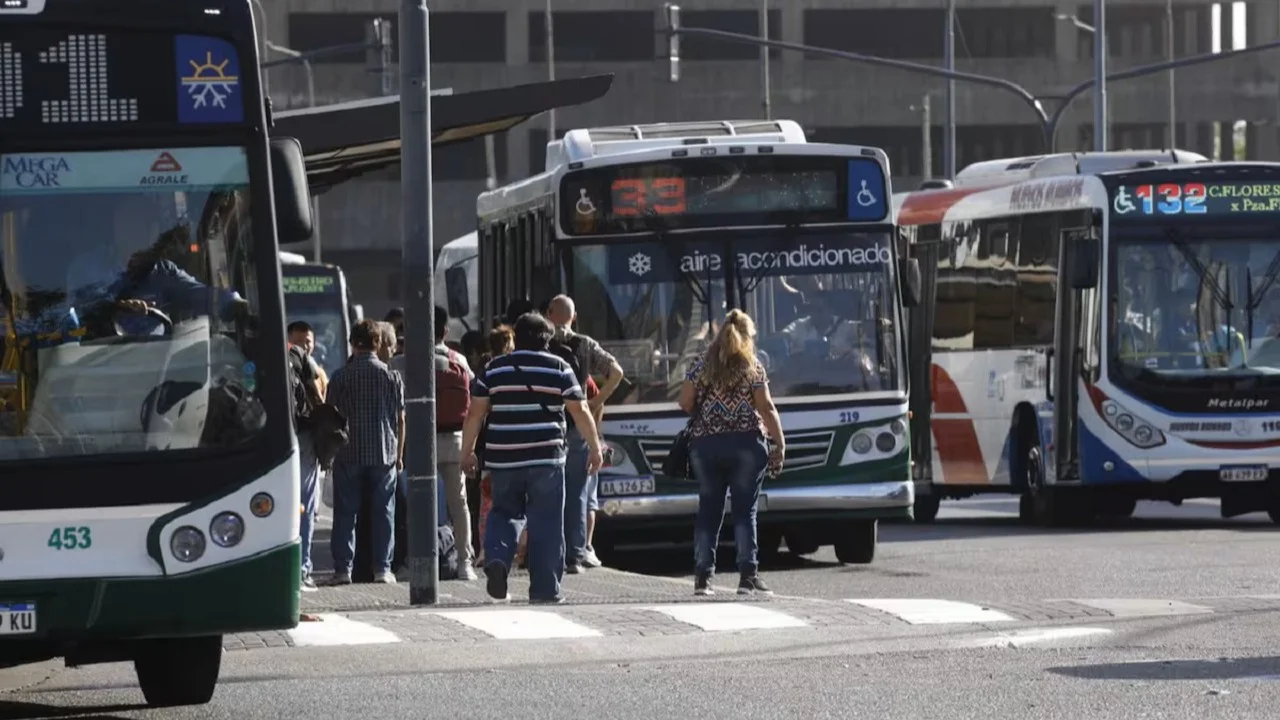 Colectivos