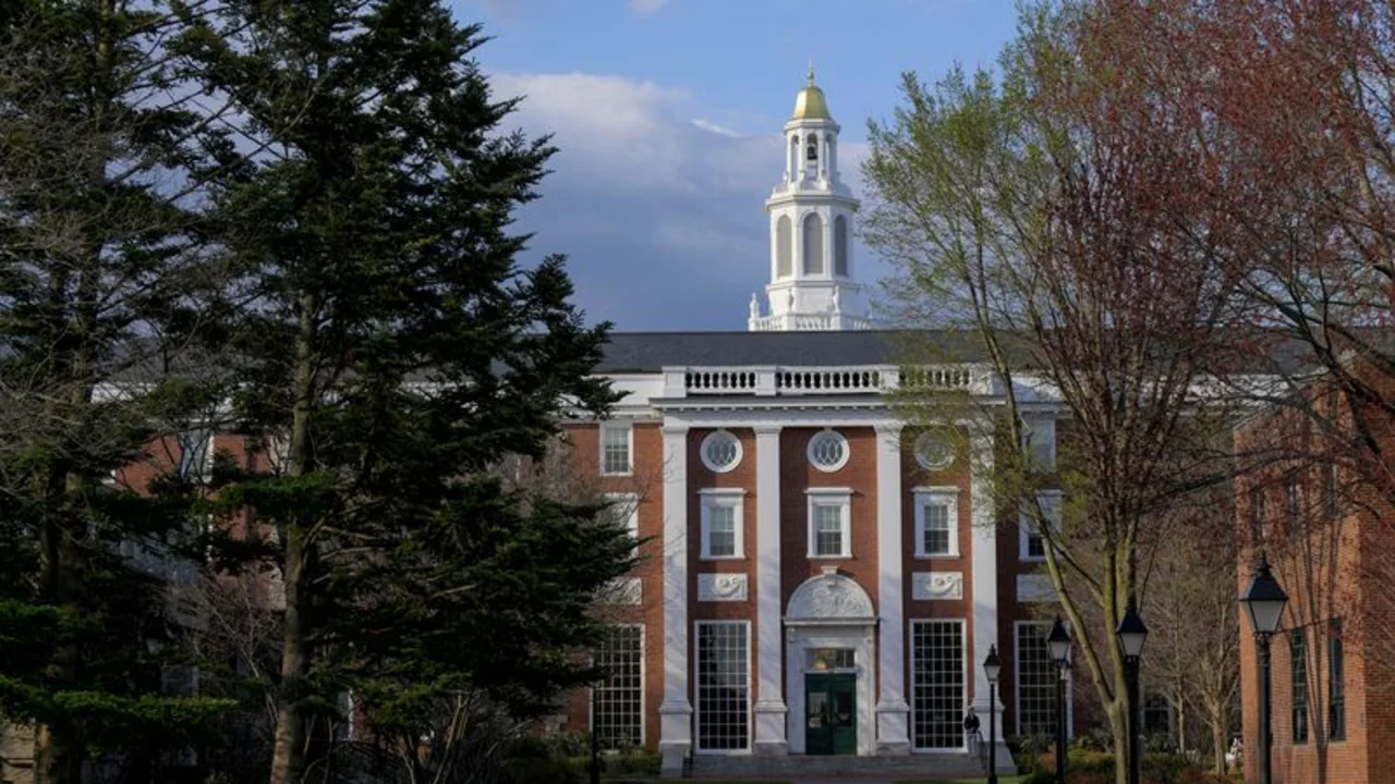 "Refugiados de Harvard": los estudiantes chinos se atrincheran ante el bloqueo de EEUU