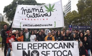 El gobierno avanzó contra el Reprocann y las organizaciones civiles | Cannabis medicinal