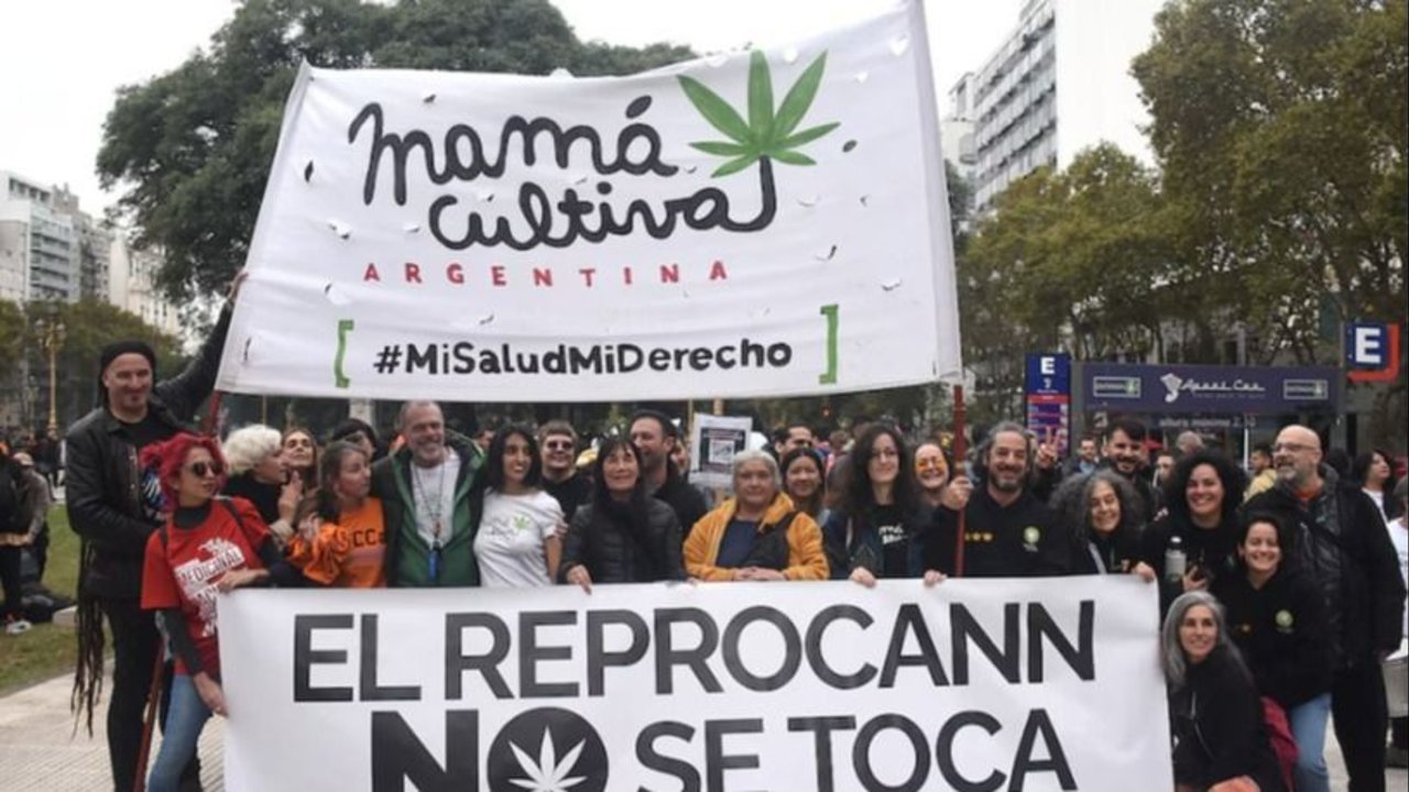 Cannabis medicinal: el gobierno avanzó contra el Reprocann y las organizaciones civiles