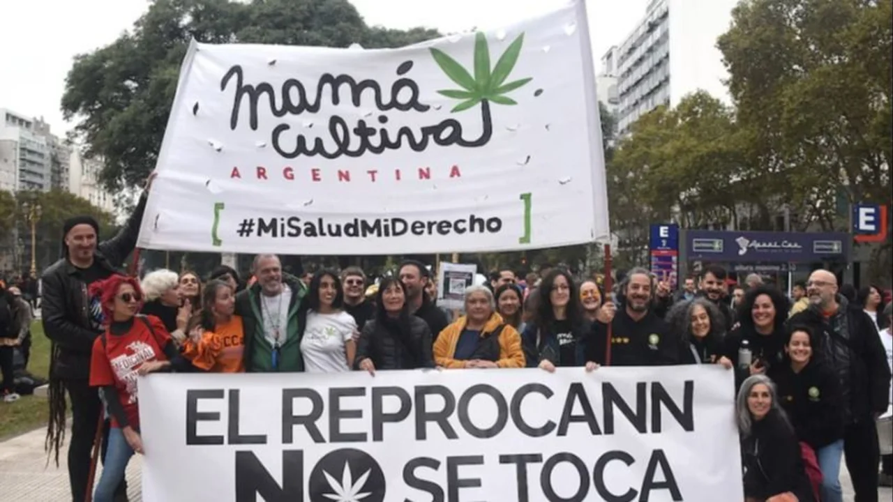 Cannabis medicinal: el gobierno avanzó contra el Reprocann y las organizaciones civiles