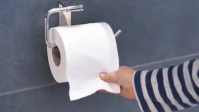 Papel higiénico. Papel higiénico.