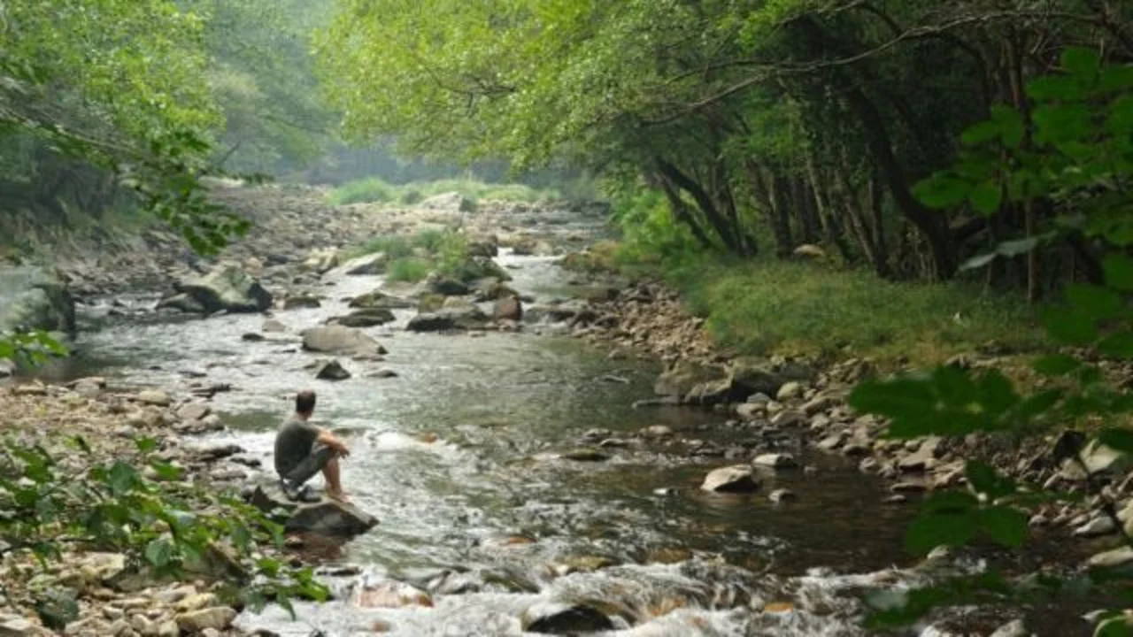 Cuál es el pueblo donde descubrieron oro dentro de un río. Oro dentro de un río en Asturias. Qué pasó en el pueblo de Tineo y el río con oro. 