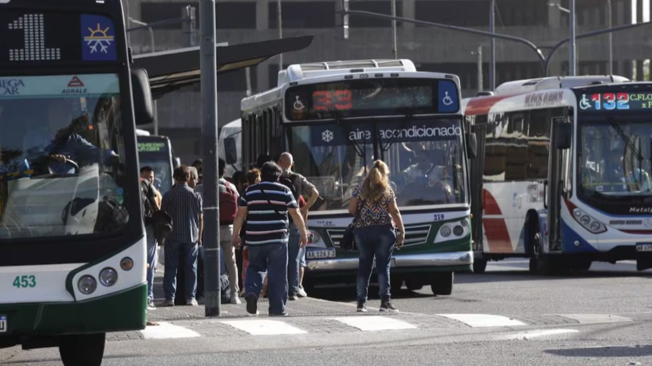 Colectivos
