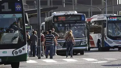 Colectivos Colectivos