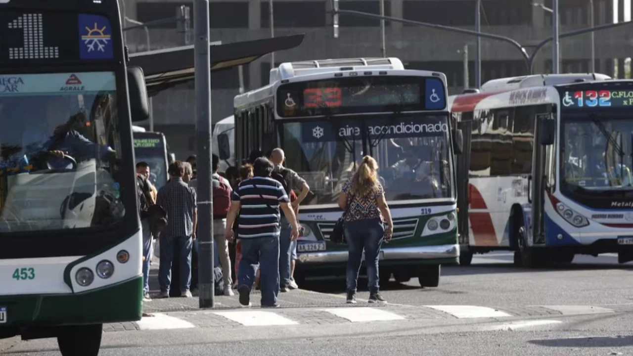 Colectivos
