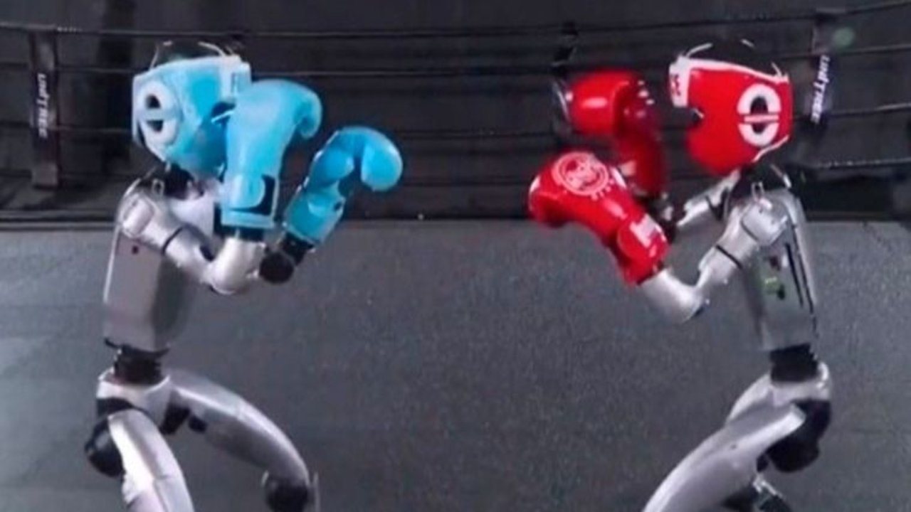 Furor por el boxeo de robots: los detalles del el insólito torneo organizado en China