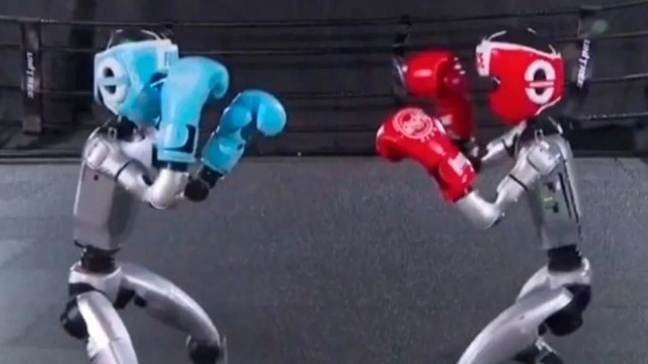 Furor por el boxeo de robots: los detalles del el insólito torneo organizado en China