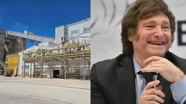 Efecto Milei: Buscan evitar despidos y el freno de la producción en una histórica química