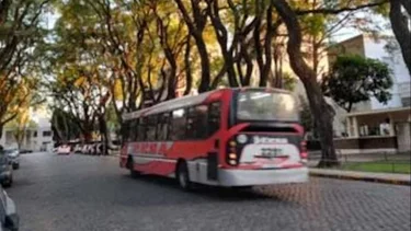 Esta es la línea de colectivos que pasa por una calle con techo de árboles y casas de lujo
