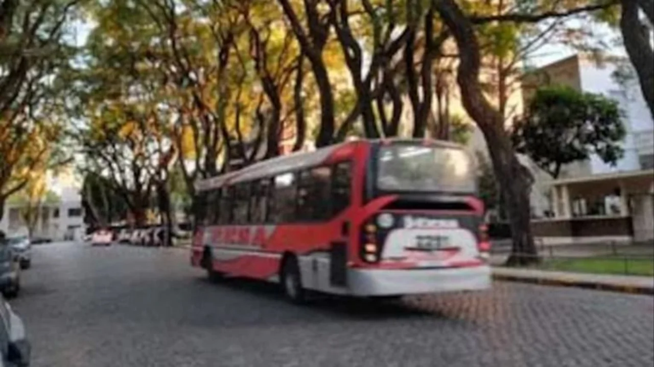 Linea 19 de colectivos