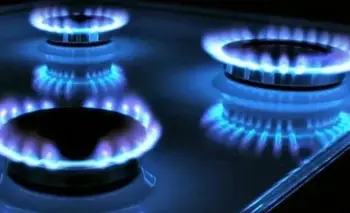 Aumento del gas: se demora la aplicación de los aumentos por inflación | Energía