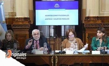 Luego de Lijo y García Mansilla, el Senado abrió la discusión por la reforma de la Corte | Senado de la nación