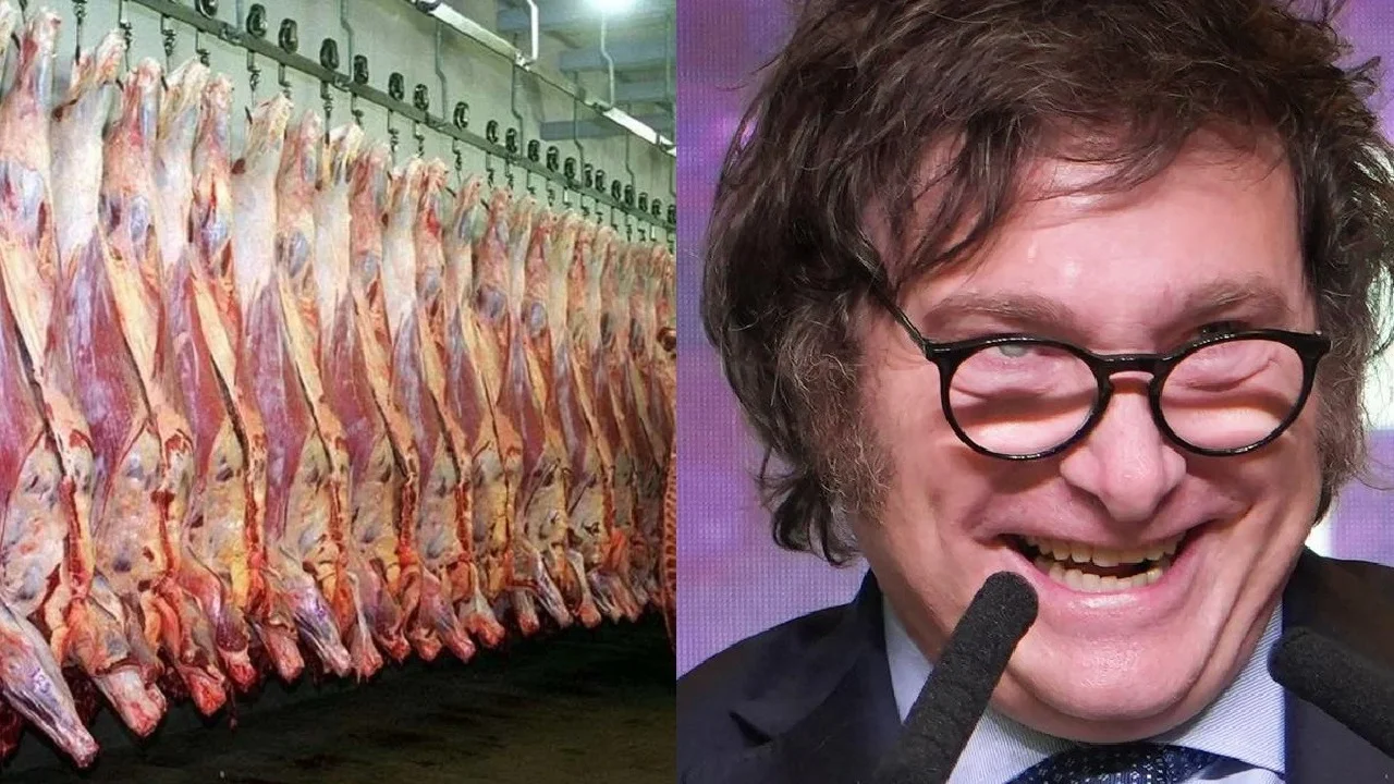 Frigorífico y Javier Milei