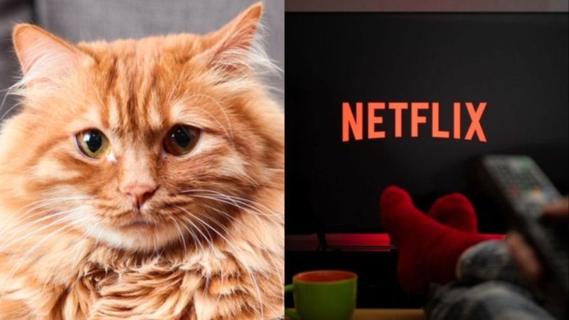 Netflix.