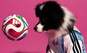 Adidas sorprende con su colección para mascotas rumbo al 2026 | Mundial 2026