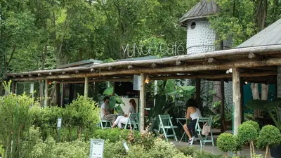 Yunga café Yunga café