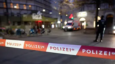 Una "reliquia de guerra" explota bajo una hoguera en Austria y hiere a cinco niños Una "reliquia de guerra" explota bajo una hoguera en Austria y hiere a cinco niños