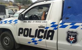 Intento de femicidio: su perro la salvó de morir estrangulada por su ex pareja | Violencia de género