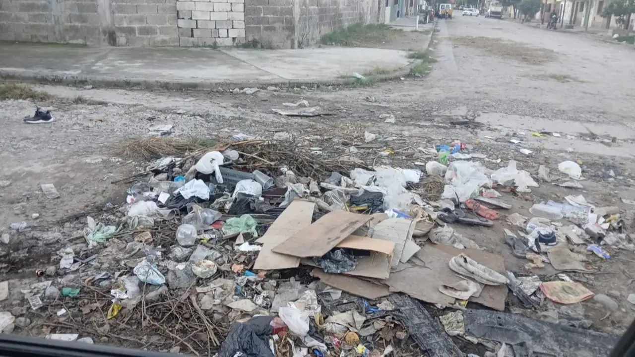 La postal es desoladora: bolsas rotas, desperdicios esparcidos por la calzada y una creciente presencia de insectos. (Foto: Jujuy al Momento). 