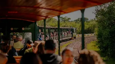 Como safari: el tren de Argentina de vagones abiertos que atraviesa la selva y te conecta con animales silvestres Como safari: el tren de Argentina de vagones abiertos que atraviesa la selva y te conecta con animales silvestres